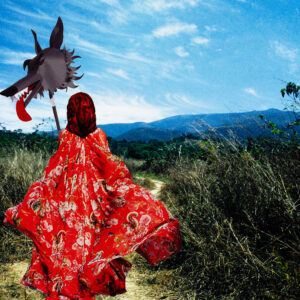 Little Red Riding Hood